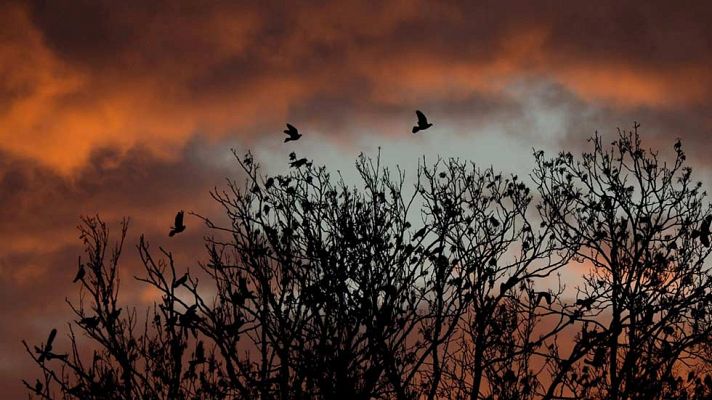 El tiempo - Nuboso y con precipitaciones en la vertiente atlántica peninsular