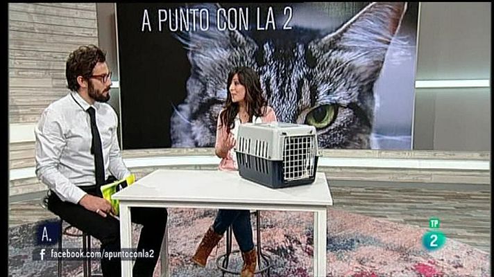 A punto con La 2 - Adoptar un gato