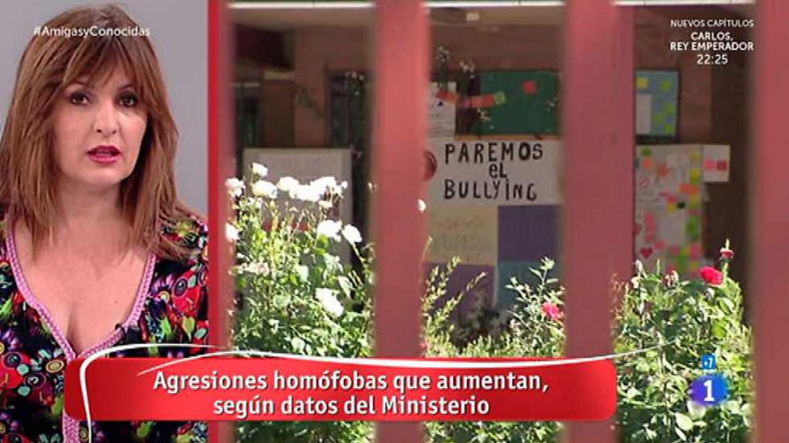 Amigas y conocidas - 11/01/16 - Ver ahora