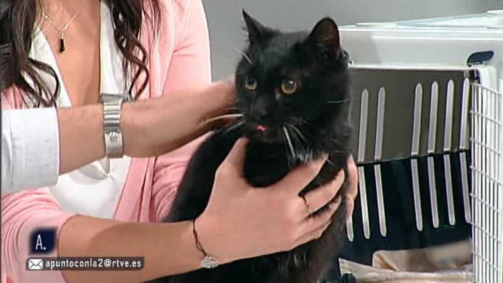 A punto con La 2 - 11/01/16 - Ver ahora