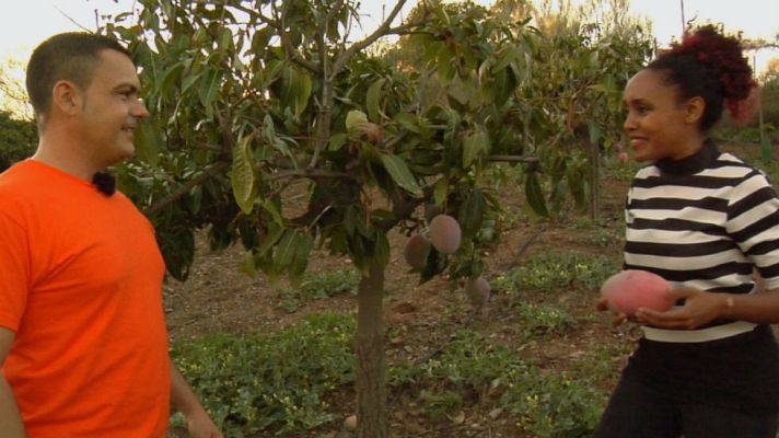 Aquí la Tierra - Mango de chuchería