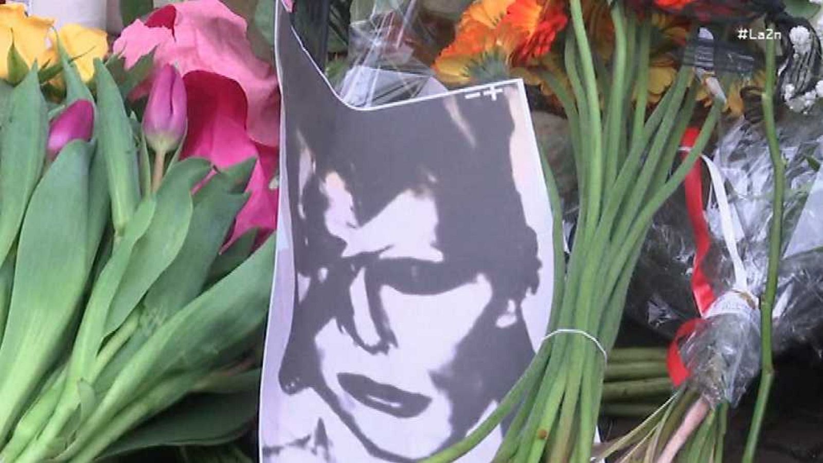 La 2 Noticias - 11/01/16 - Ver ahora