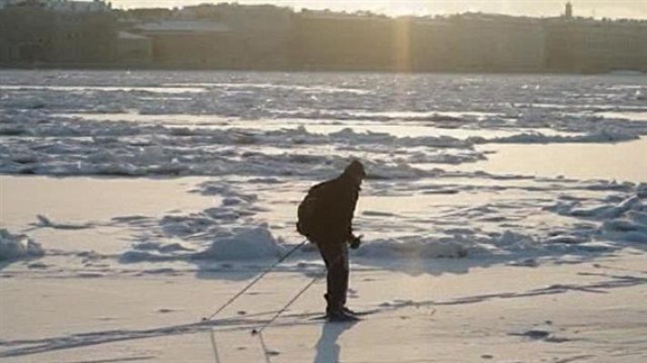 Teleplaneta - Teleplaneta - 11/01/2016