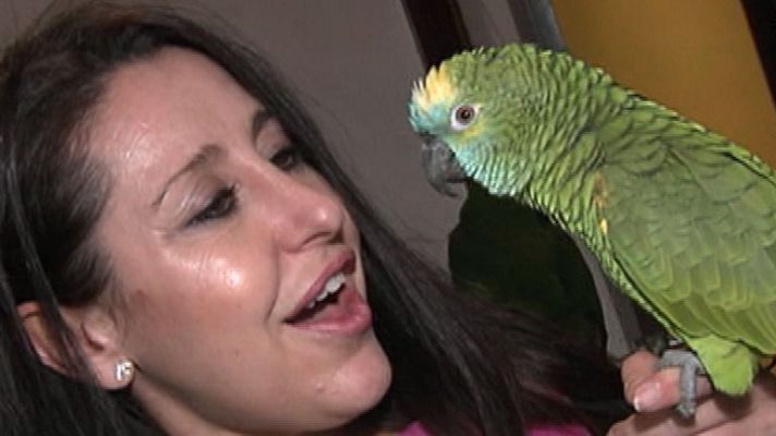 España Directo - Amor por los loros