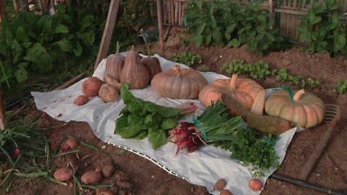 Aquí la Tierra - Aquí la Tierra - 12/01/16