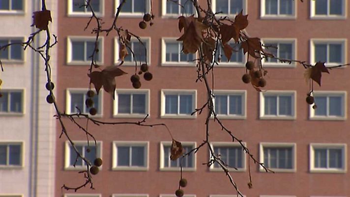 Informativo de Madrid - El Tiempo en la Comunidad de Madrid - 13/01/16