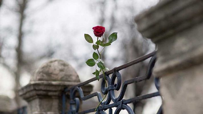 Telediario 1 - Tensión e inquietud en Turquía tras el atentado suicida perpetrado en Estambul