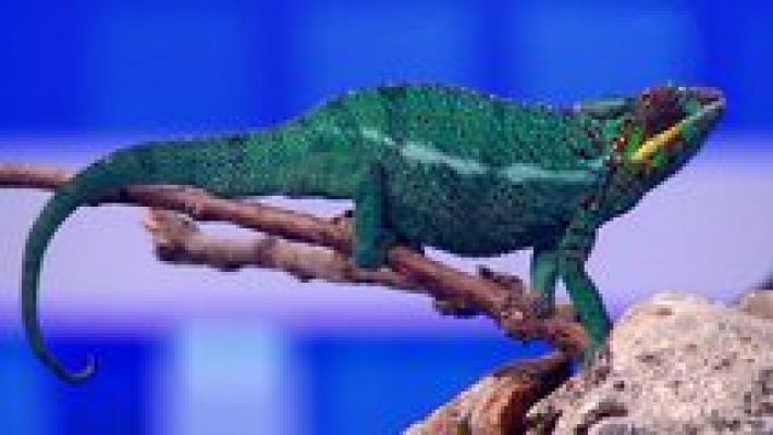  - Esto es vida! - 13/01/16