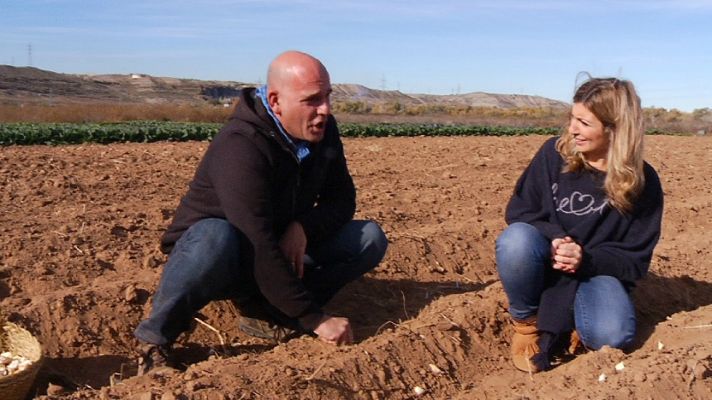 Aquí la Tierra - Una huerta con mucho ritmo