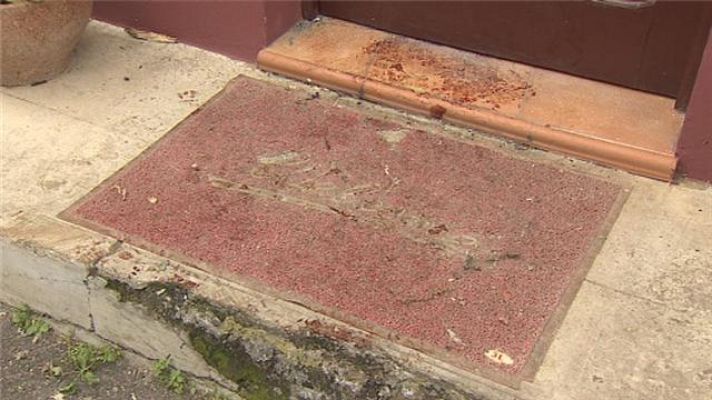 Telecanarias - Canarias en 2' - 15/01/2016