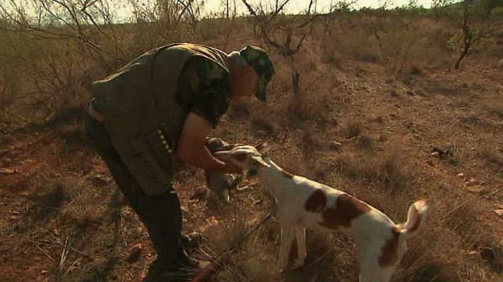 Jara y sedal - Descaste de conejo en Murcia