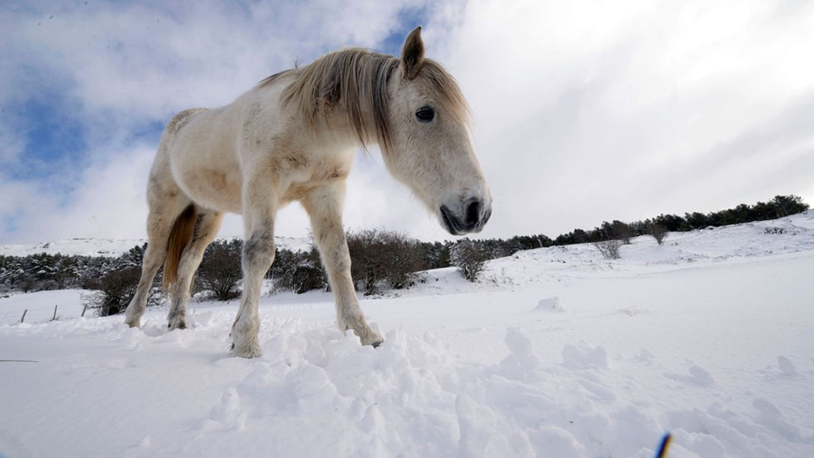 La madrugada más fría del invierno