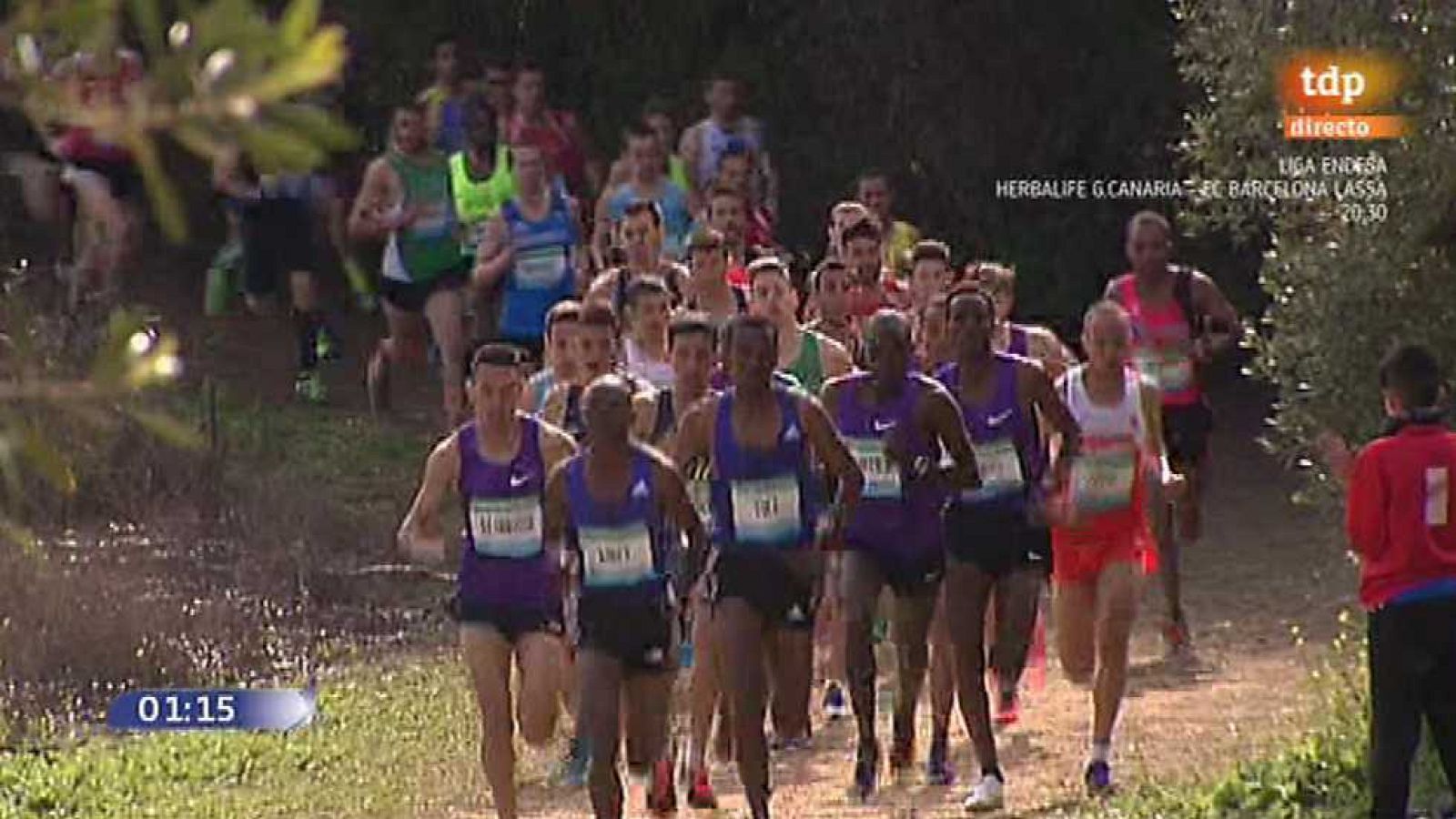 Cross Internacional de Itálica: Carrera masculina - ver ahora