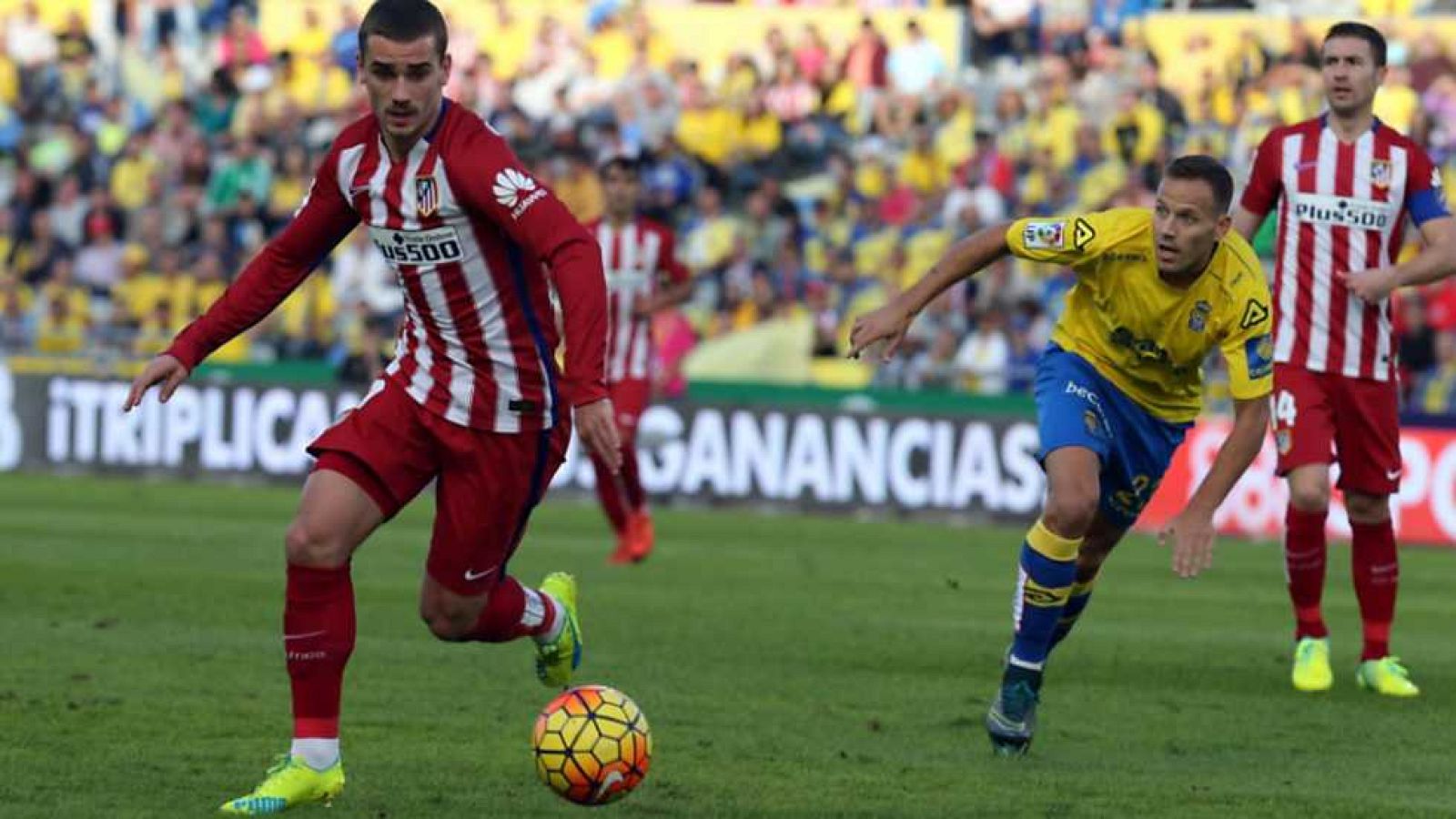 Estadio 1 - 17/01/16 - Ver ahora