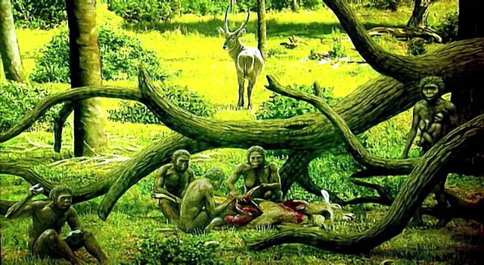 Prehistoria. Tras las huellas de los primeros humanos