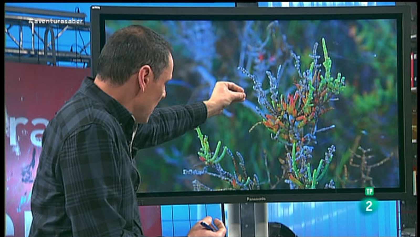 La Aventura del Saber. Sección "Divulgación medioambiental". José Manuel Crespo. Las salinas del Mediterráneo.