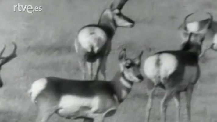 El planeta azul - Jackson Hole