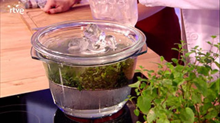  - Cómo preparar aceite esencial de menta