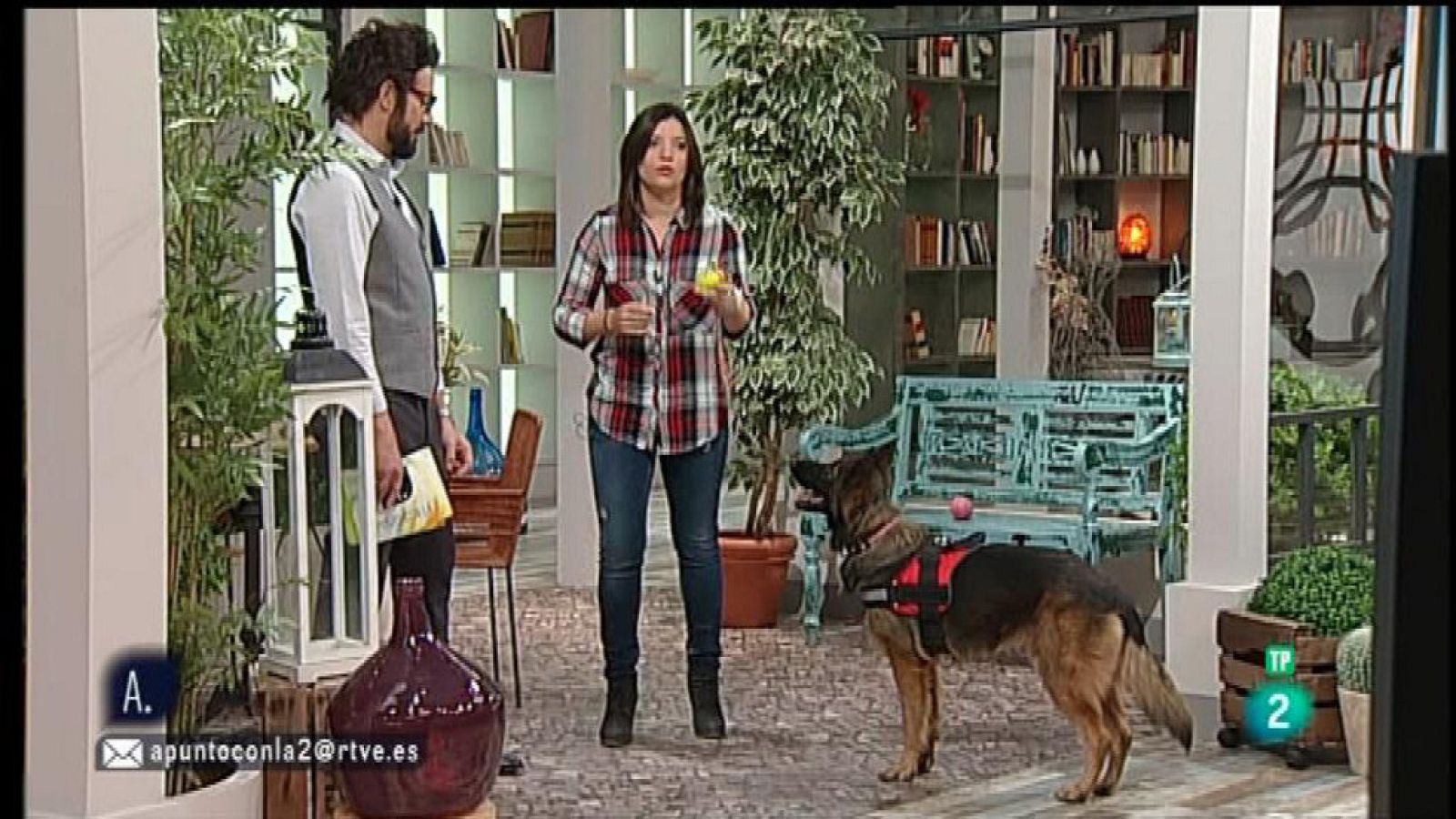 A punto con La 2 - Animales en casa: cómo evitar que el perro se escape