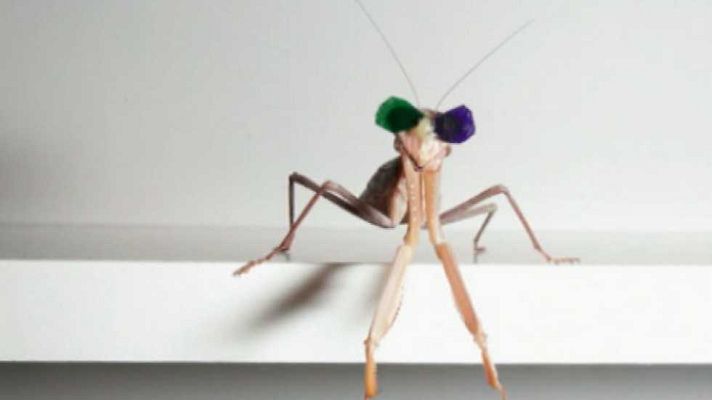 La 2 Noticias - La 2 Noticias - 18/01/16