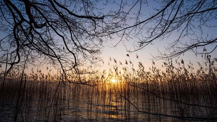 El tiempo - Lluvias fuertes en Cádiz y el entorno del Estrecho