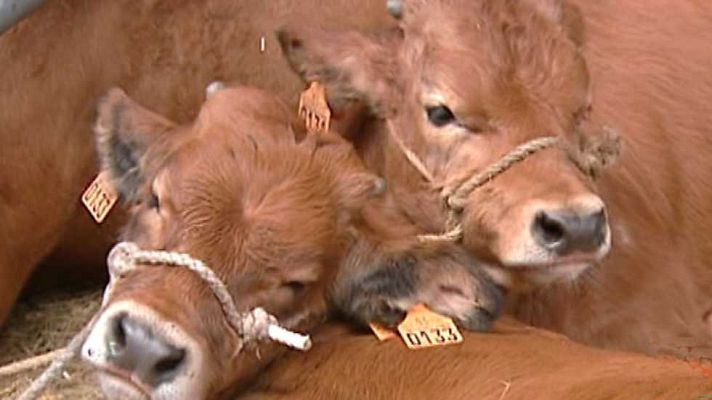 España en 24h - España en 24 horas - 19/01/16