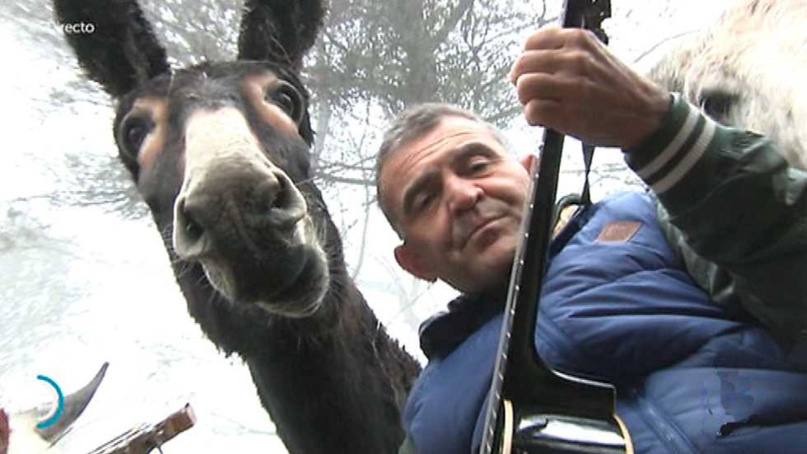 España Directo - 19/01/16 - ver ahora