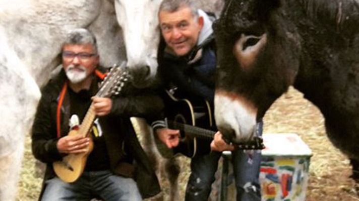 España Directo - Pascual, el amante de los burros