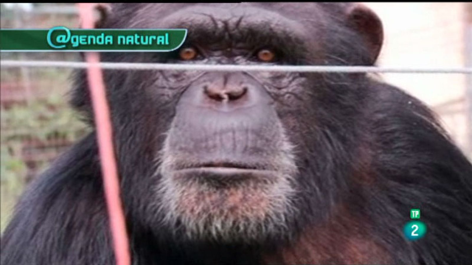 La Aventura del Saber. Agenda Natural