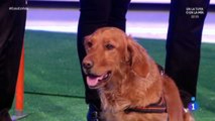  - Esto es vida! - 20/01/16