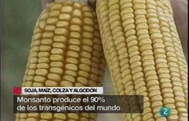 Ciencia y tecnología en Rtve.es - El negocio de los transgénicos