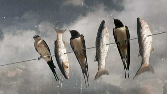 La aventura del Saber - La aventura del saber - 21/01/16