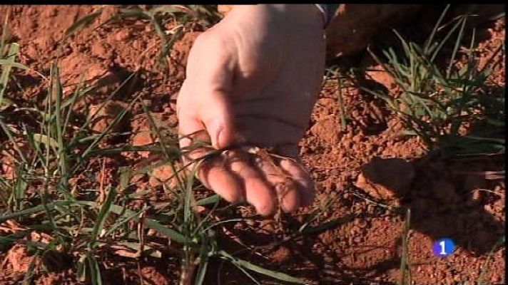 Informatiu Balear - Informatiu Balear - 22/01/16