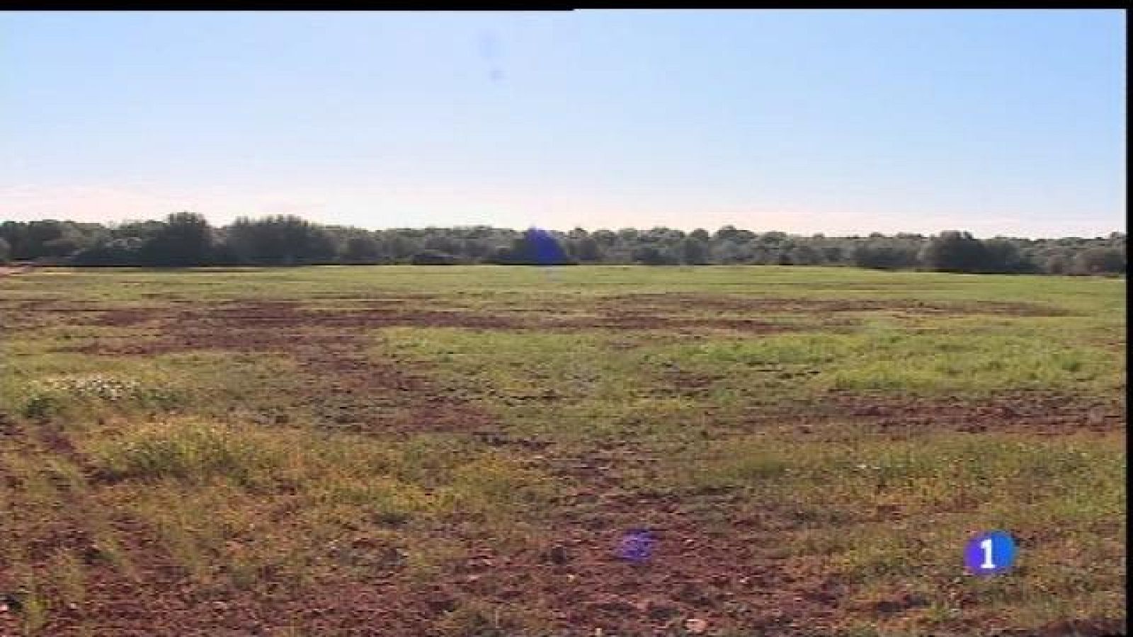 La compra del farratge serà subvencionada