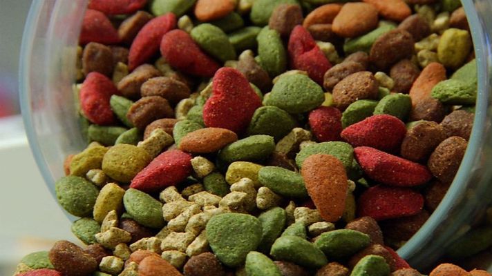 Aquí la Tierra - ¿Cómo se hace la comida para perros?