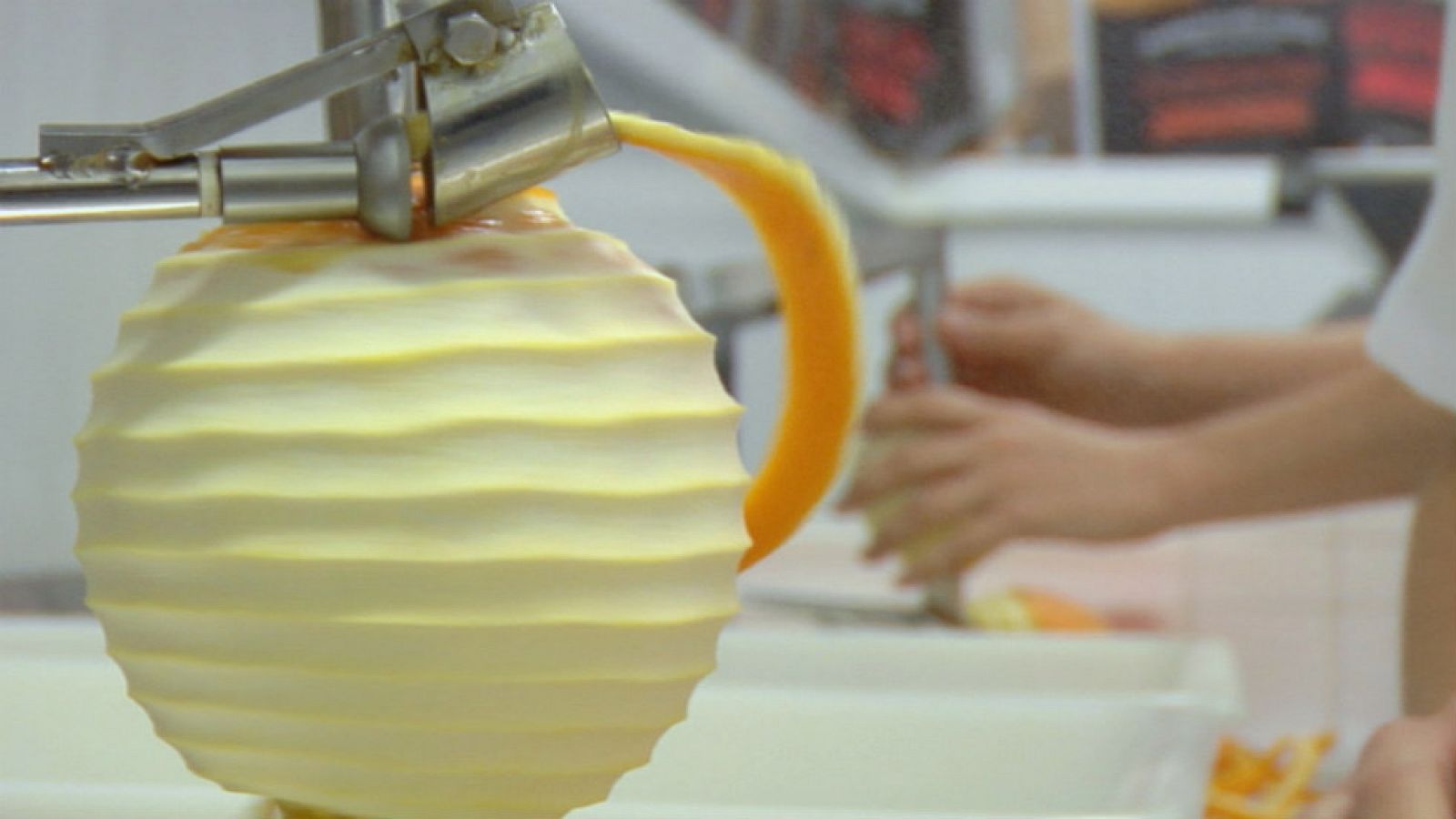 Naranjas: del árbol al bote de mermelada