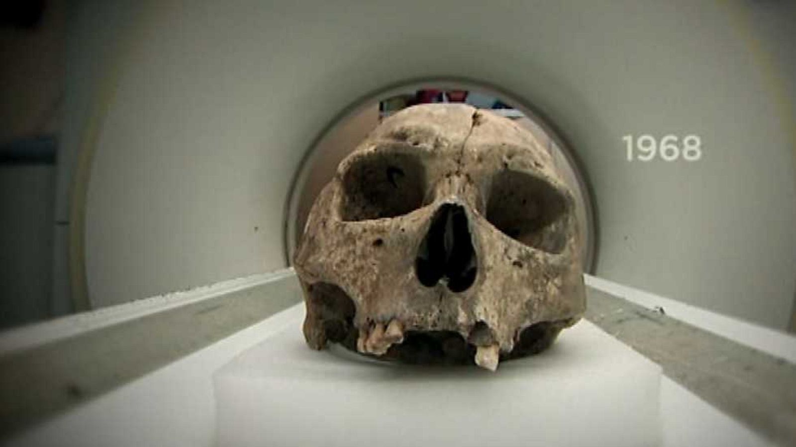 Técnicas forenses pioneras: Entomología forense - ver ahora