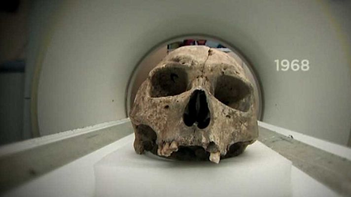 Otros documentales - Técnicas forenses pioneras: Entomología forense