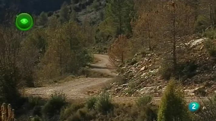 Agrosfera - Mosqueruela