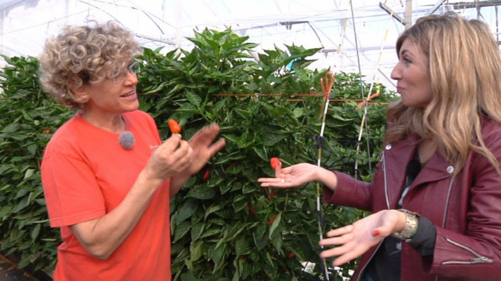 ¿El tamaño importa?