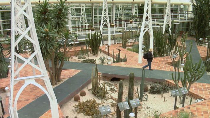 Aquí la Tierra - Juan y las plantas del desierto