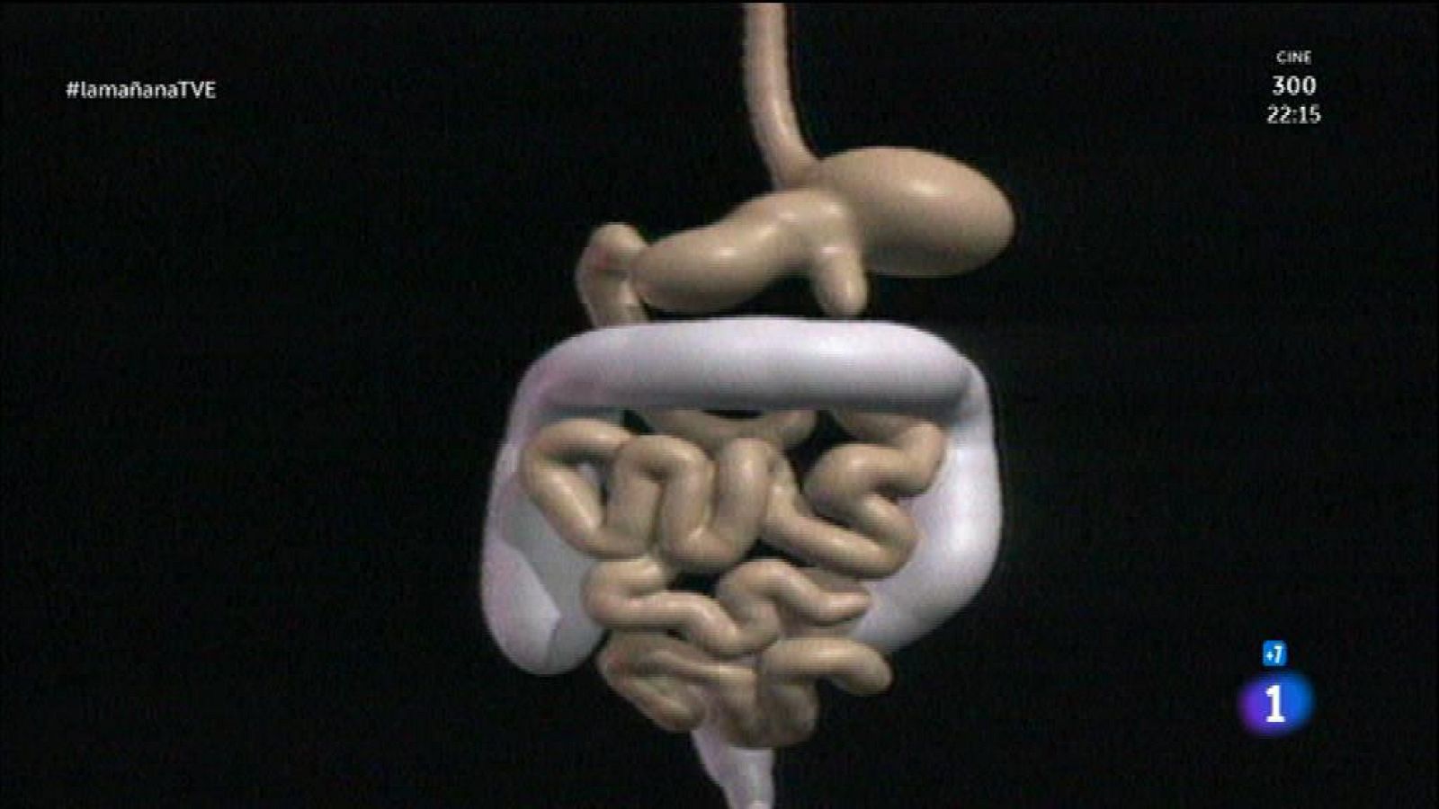 Problemas digestivos con la edad