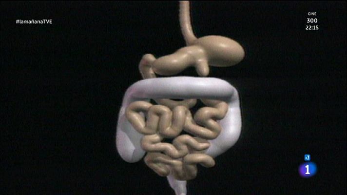 La mañana - Problemas digestivos con la edad