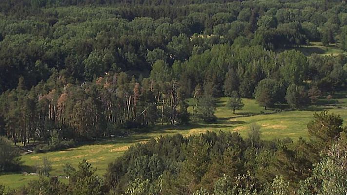 Informativo de Madrid - El Tiempo en la Comunidad de Madrid - 26/01/16