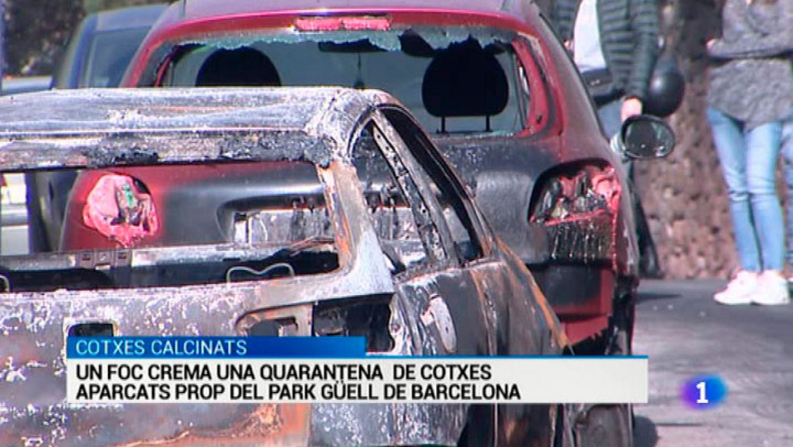 L'Informatiu 2 - 26/01/2016