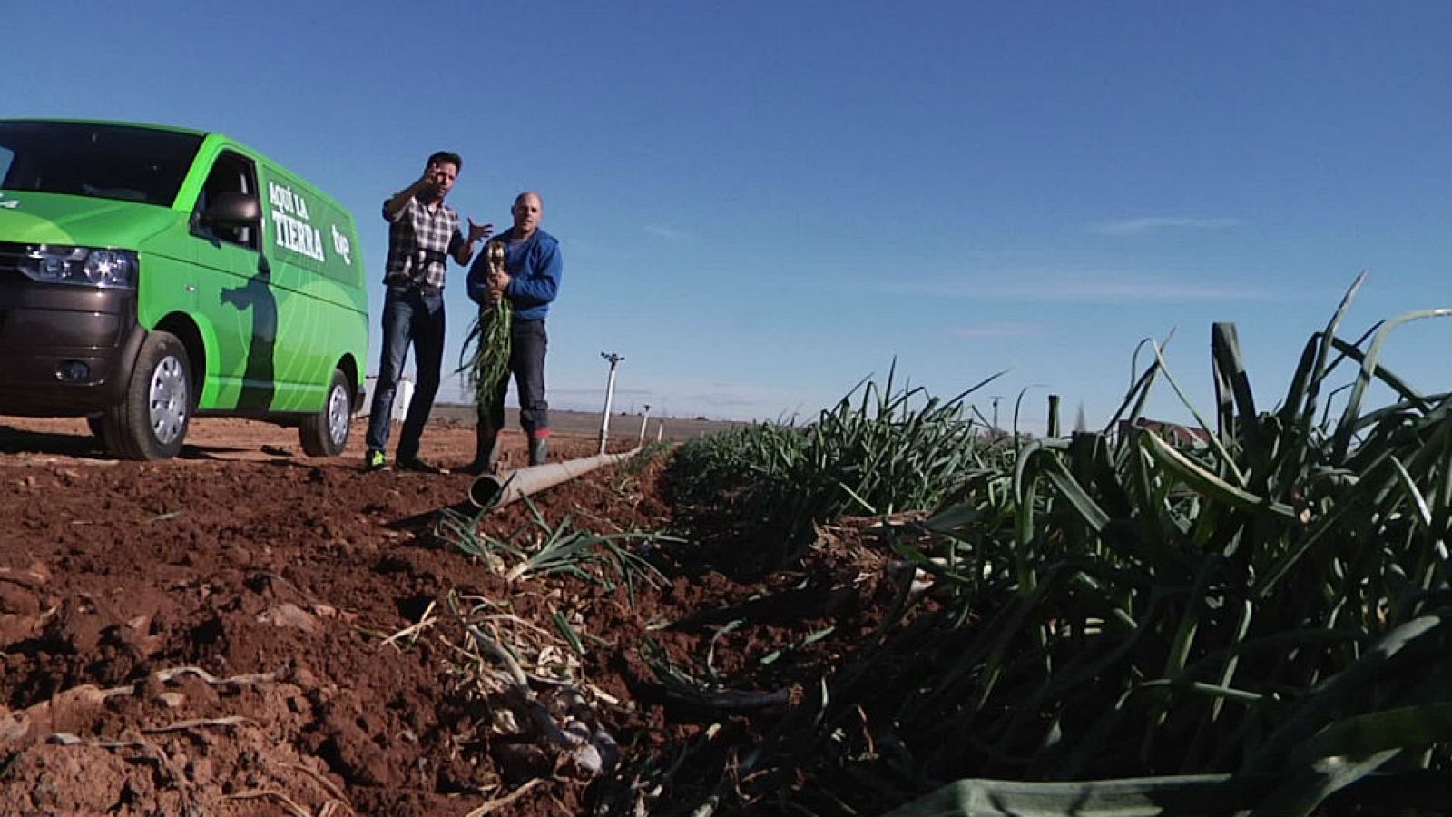Calçots ¿en Toledo?