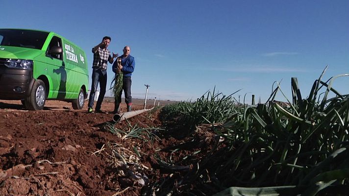 Aquí la Tierra - Calçots ¿en Toledo?