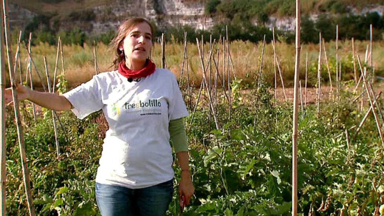 La aventura del saber - 27/01/16 - Ver ahora