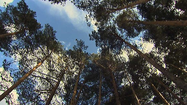 Informativo de Madrid - El Tiempo en la Comunidad de Madrid - 27/01/16