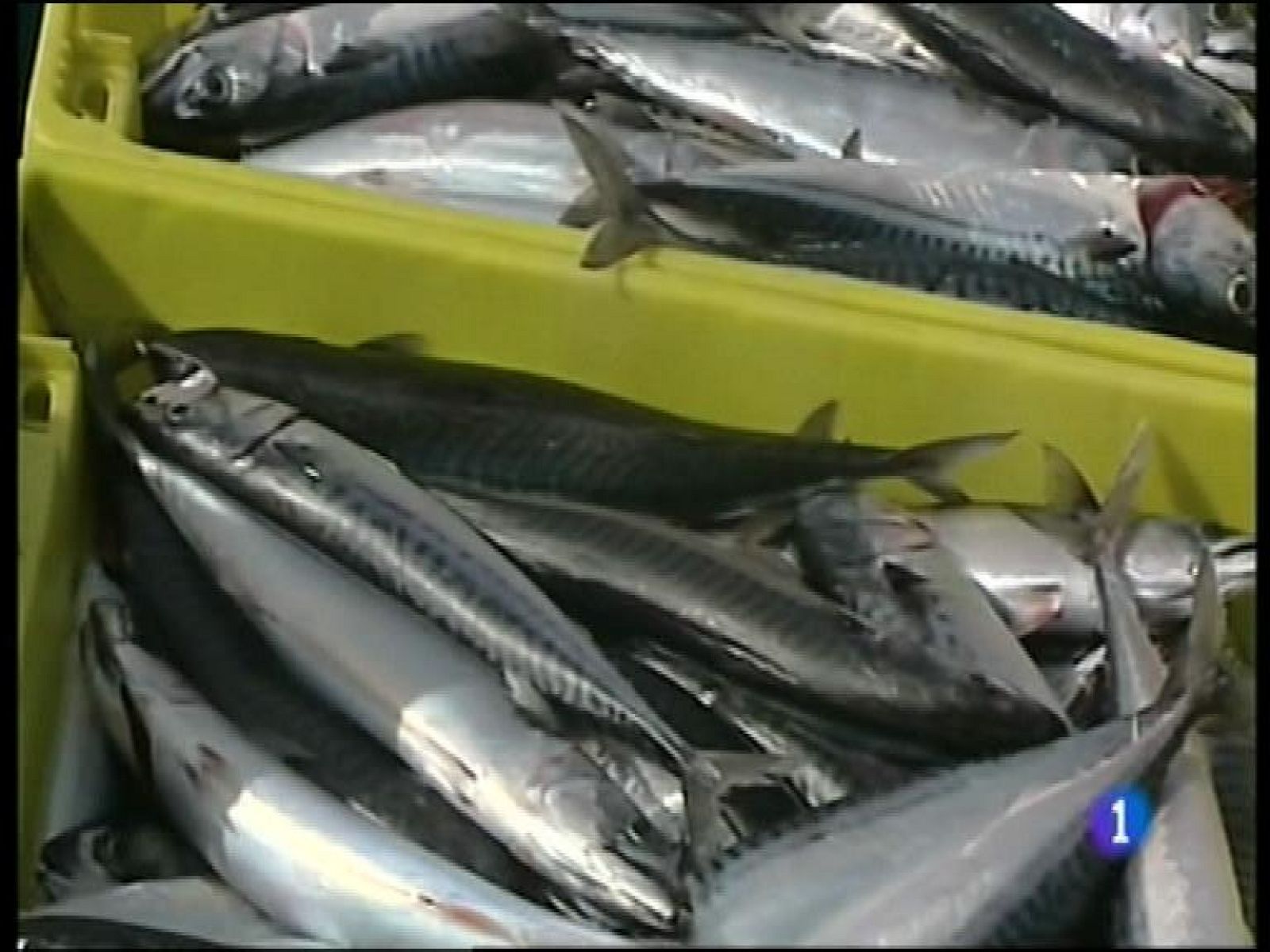 Asturias en 2' - 27/01/16 | Ver